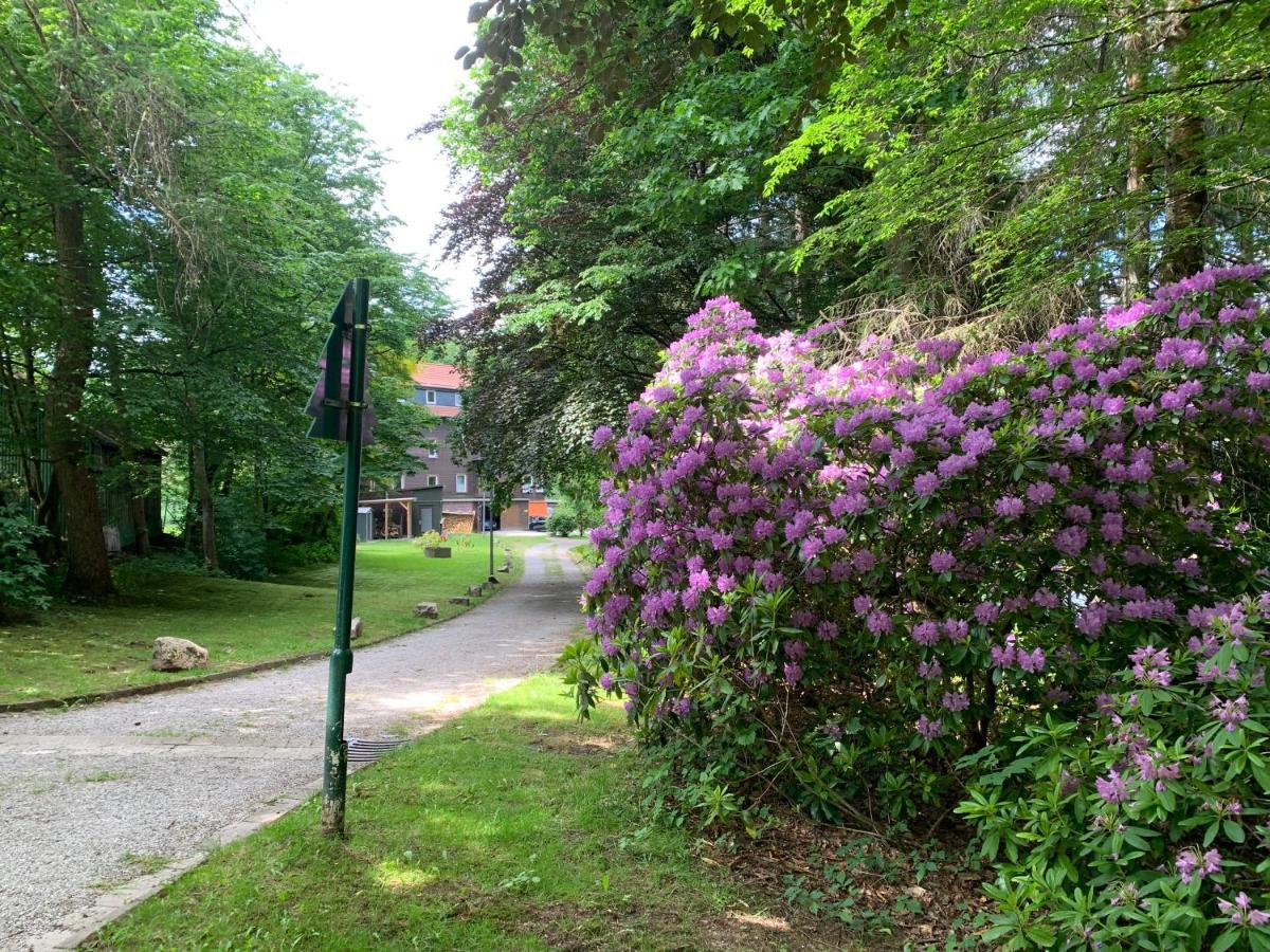 Haus Am Kurpark Apartman Clausthal-Zellerfeld Kültér fotó