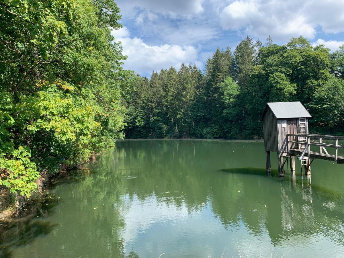 Haus Am Kurpark Apartman Clausthal-Zellerfeld Kültér fotó